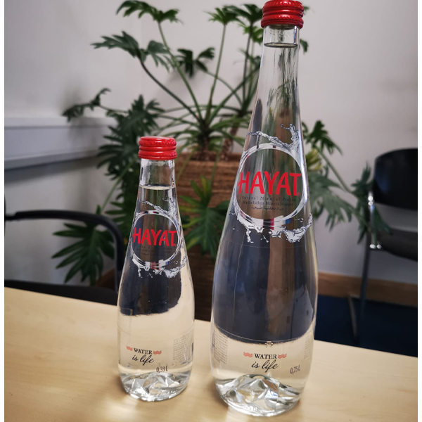 330ml x12 HAYAT STILL WATER GLASS BOTTLES