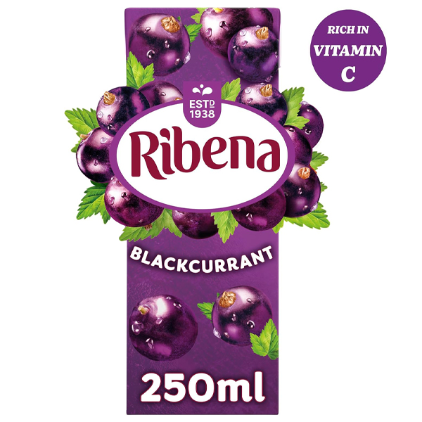 RIBENA RTD BLACKCURRANT ( TET)  24x250ml