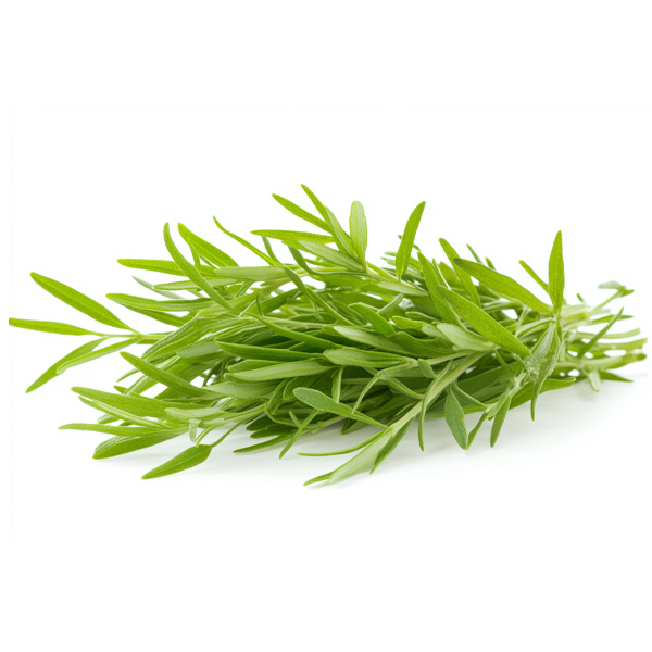 FRESH TARRAGON 1x50gm