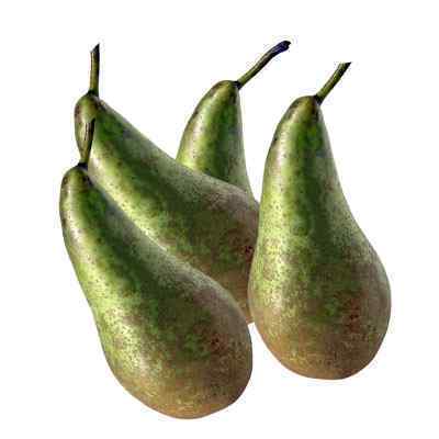 FRESH CONFERENCE PEAR ( ARMUT ) 12kg