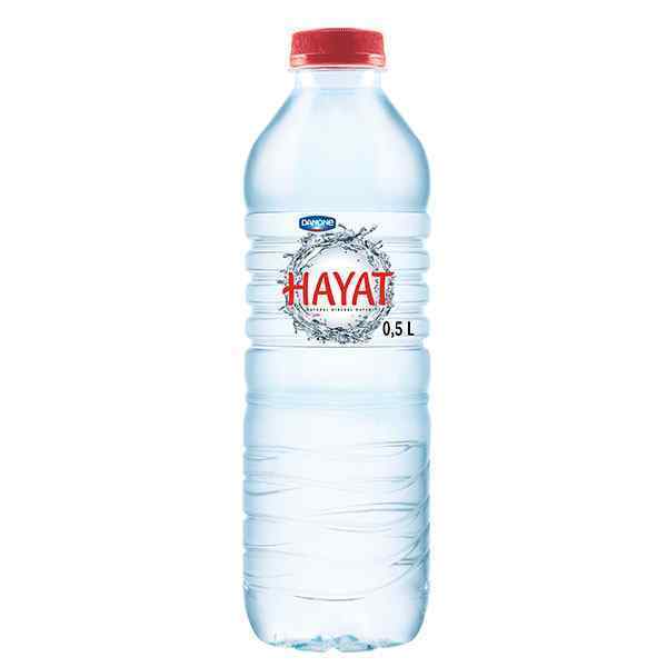 DANONE HAYAT SPRING WATER 24x500ml
