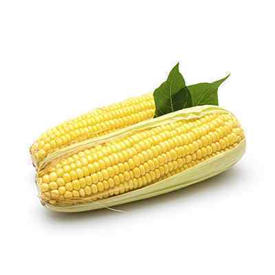 IQF CORN ON THE COB 24x2 - 9.5 Kg